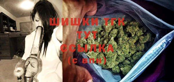 тгк Верея
