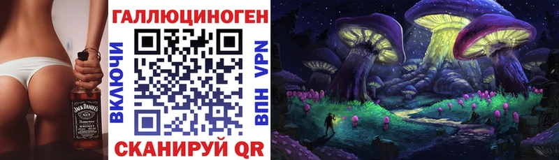 Псилоцибиновые грибы GOLDEN TEACHER  blacksprut ONION  мориарти клад  Новосокольники 