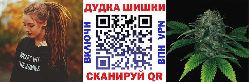 как найти закладки  Новосокольники  Бошки марихуана сатива 